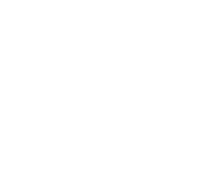 Artist Network