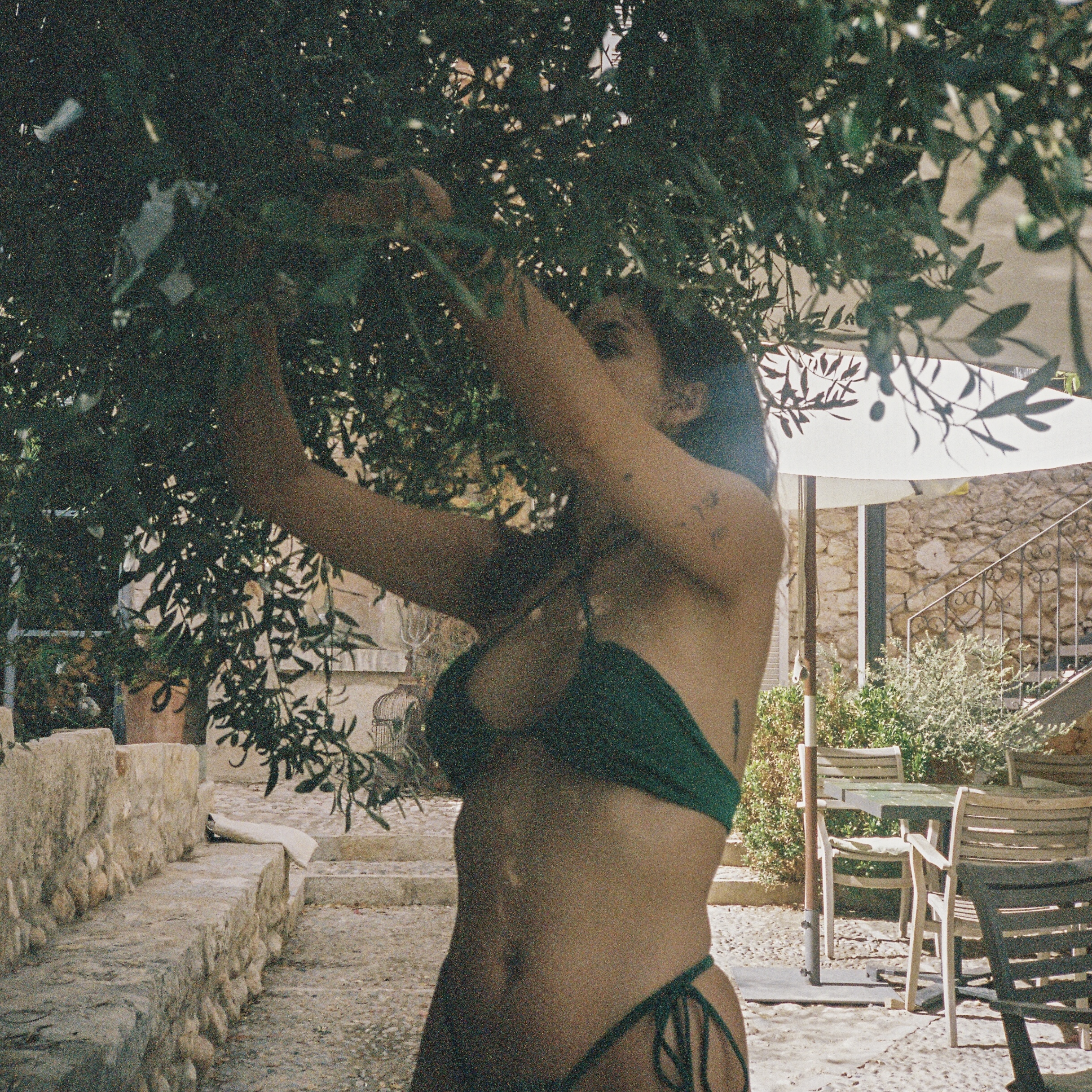 Mogli steht draußen unter einem Olivenbaum