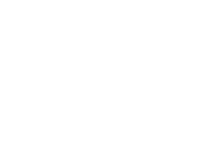 Artist Network